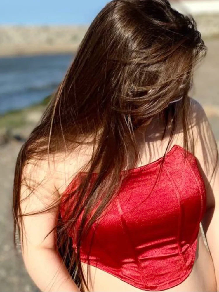 Sexy Corset Crop Top