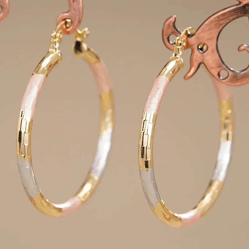 Exquisite Exaggerated Earrings